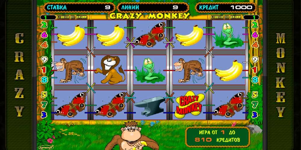 Автомат от Игрософт - Crazy Monkey